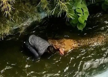 crocodile statue fake lao ong tinh selfie a bit but the artist always 117392
