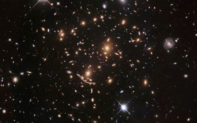 In this image, the slightly yellowish white objects are the largest and brightest elliptical galaxies