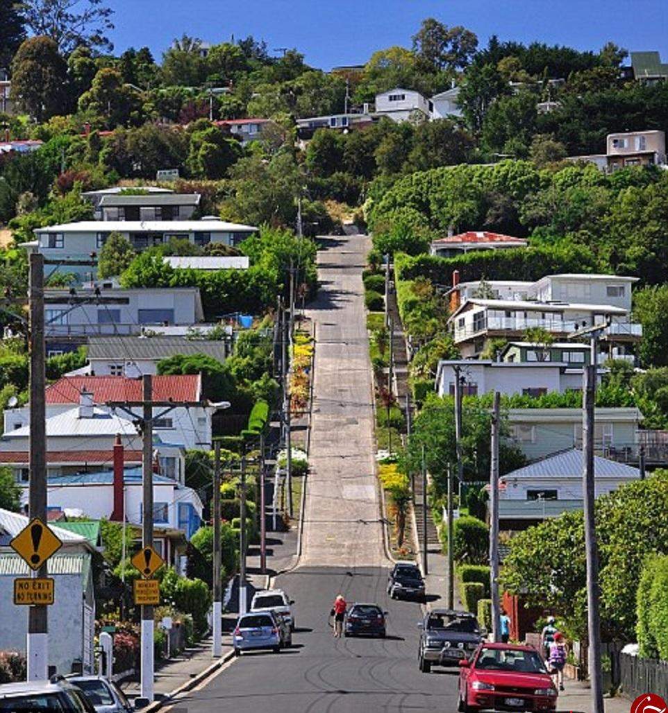 Baldwin Street, Dunedin, New Zealand – The Steepest Road in the World