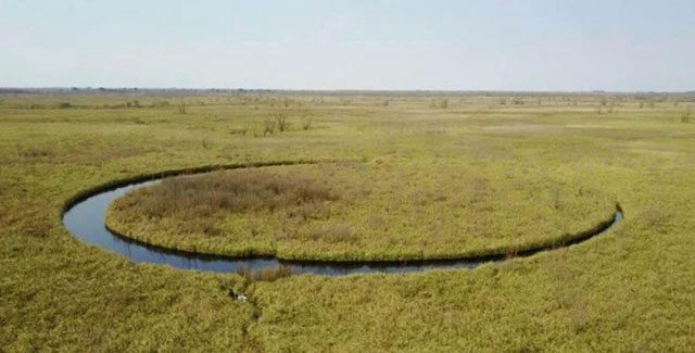 The One-Eyed Swamp