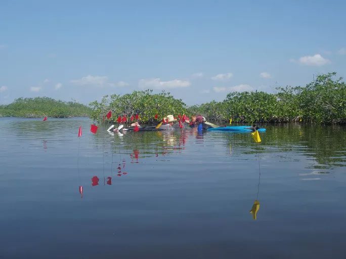 Archaeologists working at the site of an ancient Maya salt-making village