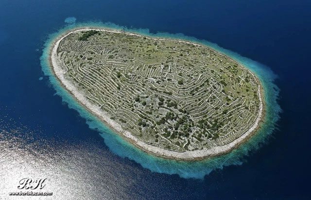 The rocky terrain and strong winds are not ideal for planting on this island