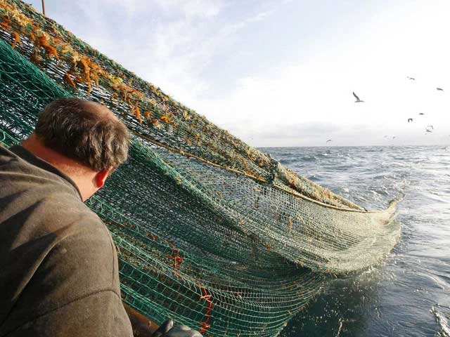 Essentially, undersea fiber optic cables will be laid naturally