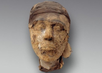 decoding successful 4000 year old mummy using dna technology 91701