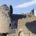 decoding the legendary queen recovery of the 2 100 year old powerful woman 116506