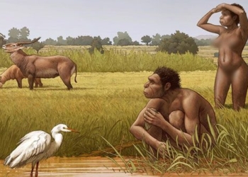 determining a completely new type of person born to us 116844