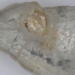 diamond mining company extracts unique rare diamonds from unique 117398