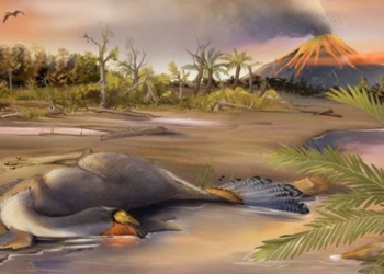 dinosaur rebirth discovered incredible find from 125 million year old pillar 116407
