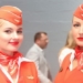 discover the secret language of flight attendants 115837