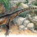 discovery dragon wales size of a chicken 116439