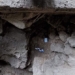 discovery of 11 000 year old child tomb in lang son 117237