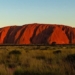 discovery of a completely new species on a sacred rock in australia 117245