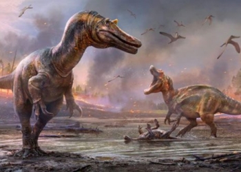 discovery of a crocodile sized dinosaur 9 meters long 116265