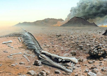 discovery of a day of the end times kha gan destroyed 63 animals 116558