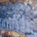 discovery of a giant ancient crocodile like stone 117869