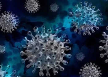 discovery of a weapon against all corona viruses including sars cov 2 117139