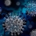 discovery of a weapon against all corona viruses including sars cov 2 117139