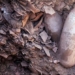 discovery of an ancient wine factory in israel 116533