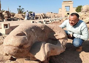 discovery of giant hedgehog phenomenon on human resources highway in egypt 116667