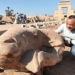 discovery of giant hedgehog phenomenon on human resources highway in egypt 116667