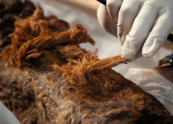 discovery of historical motility in 4 000 year old mummy requires rewriting 116766