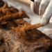 discovery of historical motility in 4 000 year old mummy requires rewriting 116766