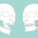 discovery of structure never seen before in human body 117833