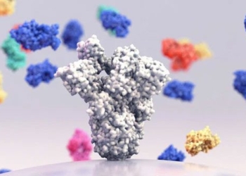 discovery of super antibody neutralizing all sars cov 2 variants 116612