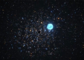 discovery of the young black hole near the earth 117102