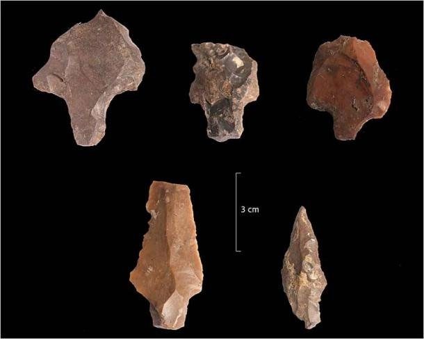 Some tools created by the Aterian people from stone.