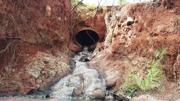 The Mystery of the Beer-Scented Spring in Hawaii