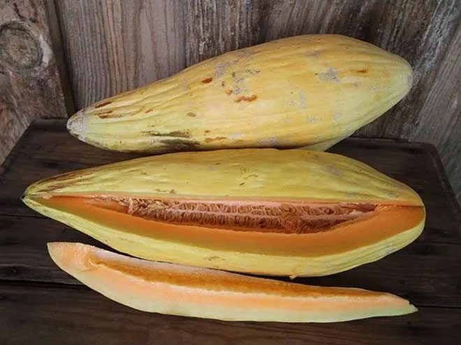 Banana Melon