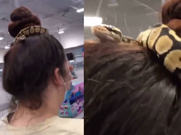 The woman using a snake as a hair tie leaves everyone stunned.
