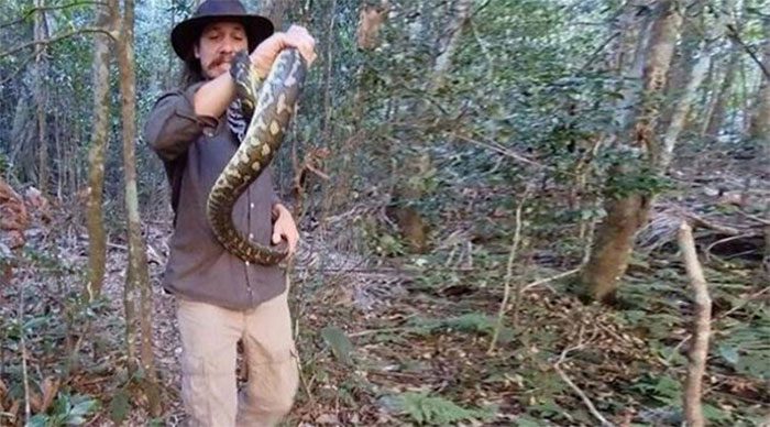 When Kane was preparing to release it, he was suddenly bitten on the hand by the carpet python.