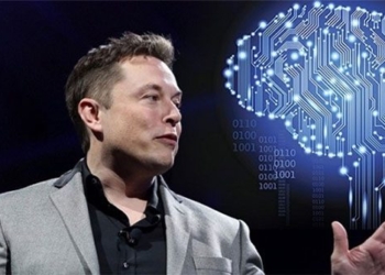 elon musk implants chip into which person next year 117580