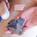 evidence shock about the need for human civilization to lead us 115934