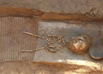 expert detects large number of bamboo children 2 000 years 117414