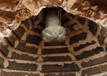 expert in masks explores thousand year old tomb with 1 monster guarding no one dares to enter 116371