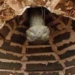 expert in masks explores thousand year old tomb with 1 monster guarding no one dares to enter 116371