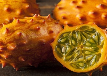 explore fruit types that many girls like but they have similar characteristics to watermelon 84408
