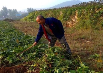 farmers go digging what is the truth about land bleeding 116379