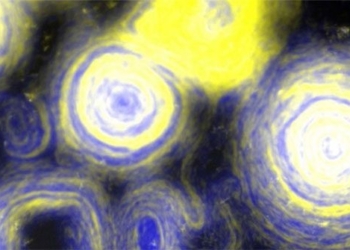 find species bacteria transform similar vangogh 117852