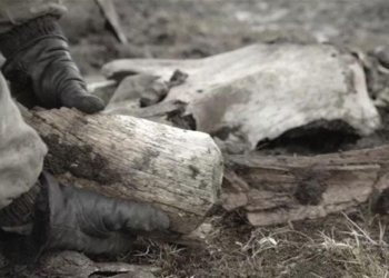 finding evidence of the existence of ancient artifacts from the ice age in the arctic 116313