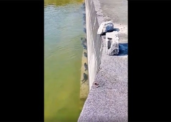 fishing rod fishing rankings vertical pool in january causing many people to speculate about phenomenon 117875