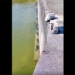 fishing rod fishing rankings vertical pool in january causing many people to speculate about phenomenon 117875