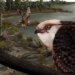 found thach hoa species long by brain 25 million years ago 116196