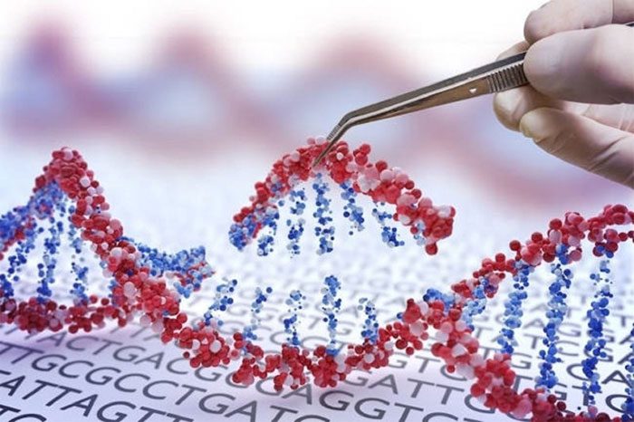 "Editing" Human Genes