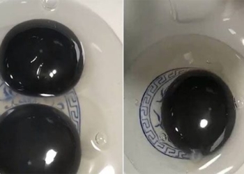 giant black egg rarely causing commotion 117378