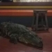 giant crocodile 70 years old nourished by buddha encouraging eat white rice with grilled meat 116680