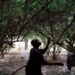 green wall helping africa reduce street traffic 117112